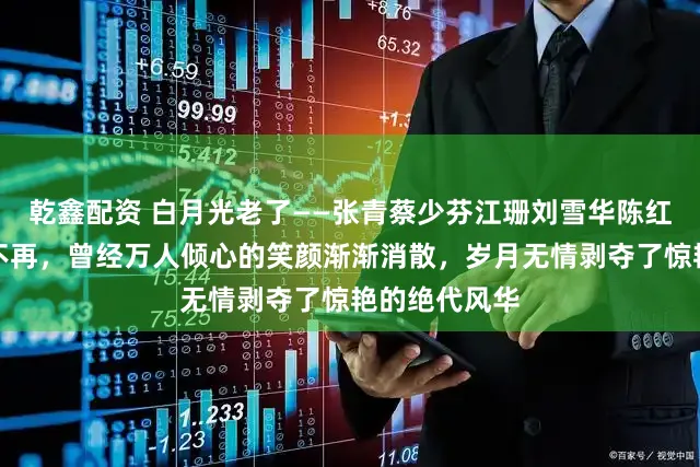 乾鑫配资 白月光老了——张青蔡少芬江珊刘雪华陈红王艳的美丽不再，曾经万人倾心的笑颜渐渐消散，岁月无情剥夺了惊艳的绝代风华