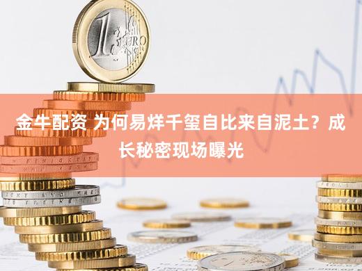 金牛配资 为何易烊千玺自比来自泥土？成长秘密现场曝光