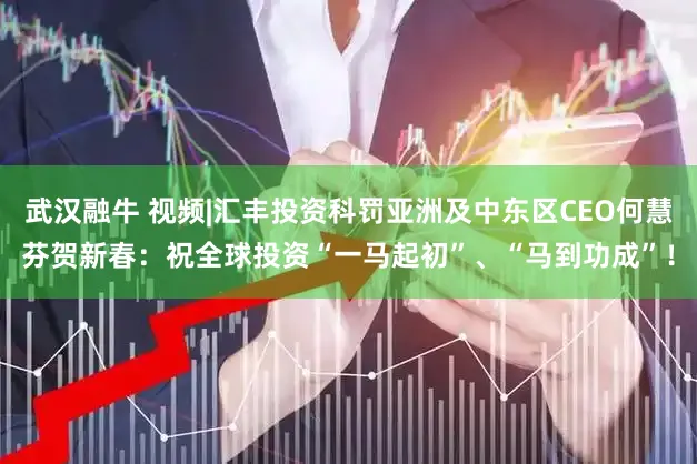 武汉融牛 视频|汇丰投资科罚亚洲及中东区CEO何慧芬贺新春：祝全球投资“一马起初”、“马到功成”！