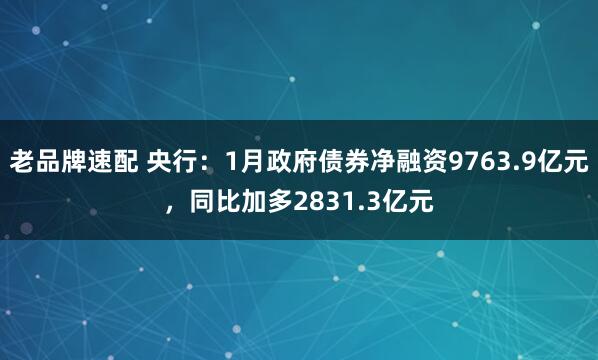 老品牌速配 央行：1月政府债券净融资9763.9亿元，同比加多2831.3亿元