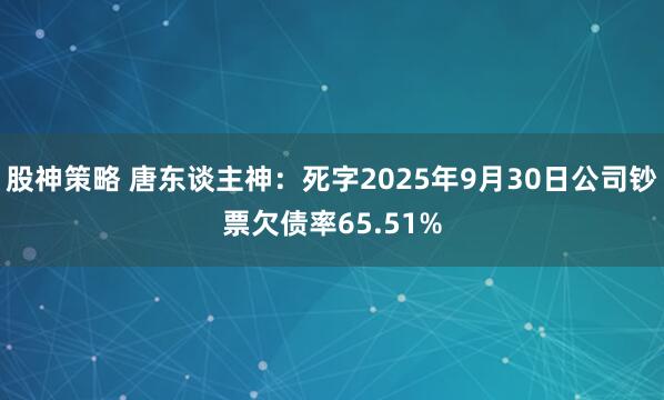 股神策略 唐东谈主神：死字2025年9月30日公司钞票欠债率65.51%