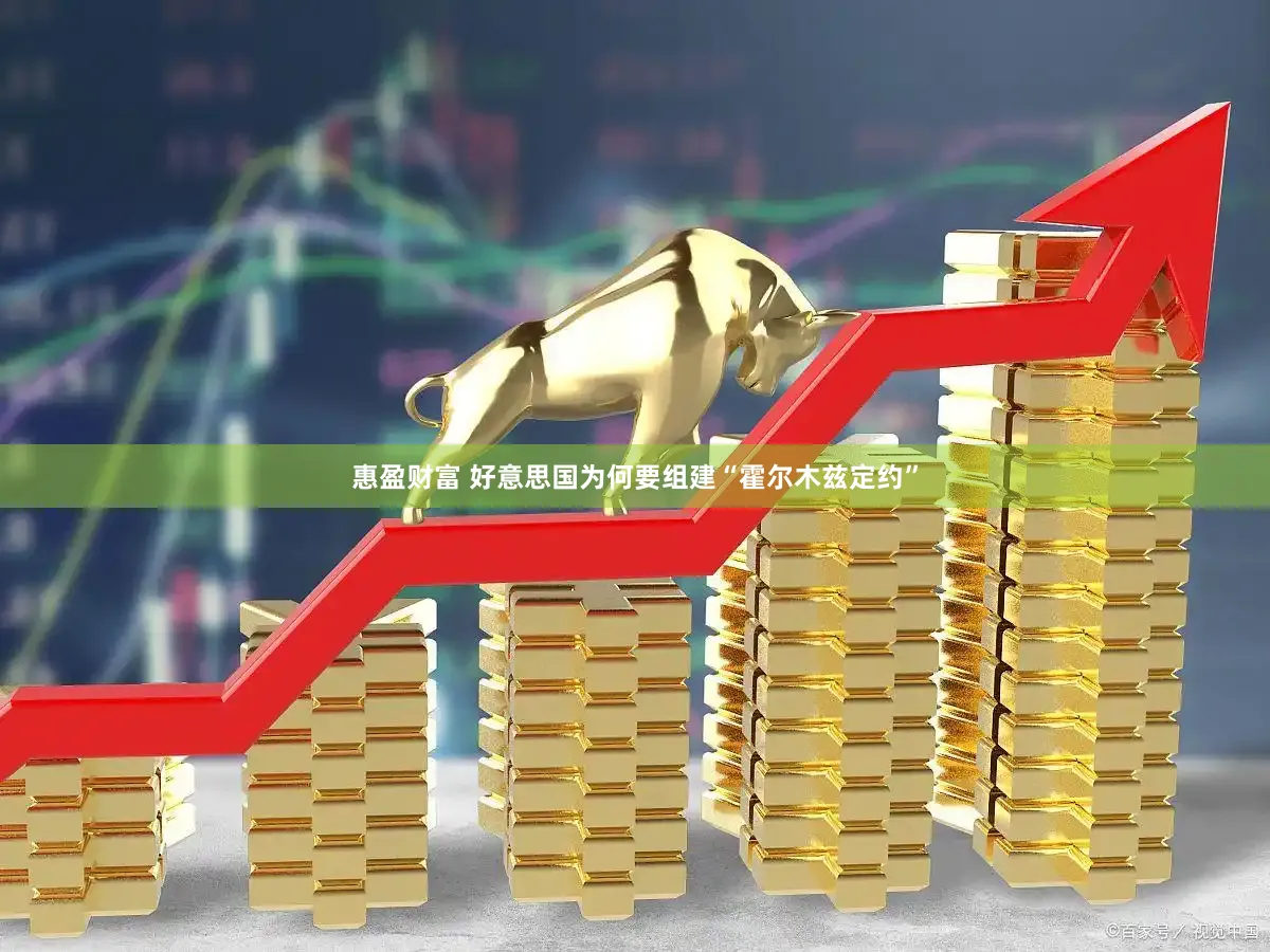 惠盈财富 好意思国为何要组建“霍尔木兹定约”