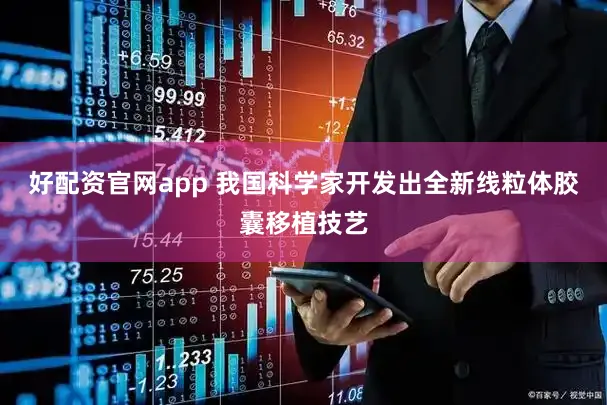好配资官网app 我国科学家开发出全新线粒体胶囊移植技艺