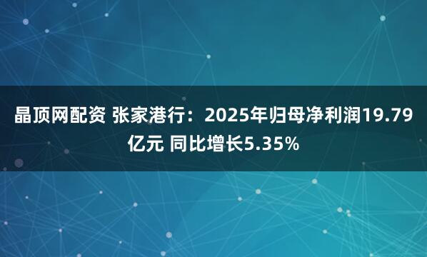 晶顶网配资 张家港行：2025年归母净利润19.79亿元 同比增长5.35%