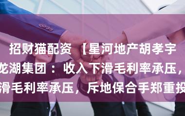 招财猫配资 【星河地产胡孝宇】公司点评丨龙湖集团 ：收入下滑毛利率承压，斥地保合手郑重投资