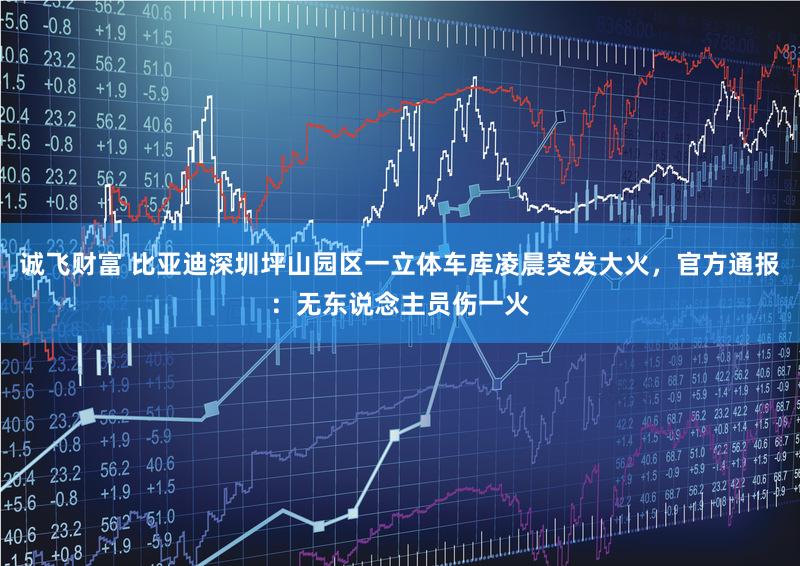 诚飞财富 比亚迪深圳坪山园区一立体车库凌晨突发大火，官方通报：无东说念主员伤一火