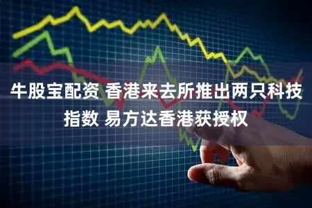 牛股宝配资 香港来去所推出两只科技指数 易方达香港获授权